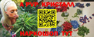 молекула духа Кингисепп