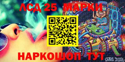 молекула духа Кингисепп