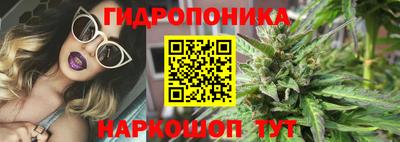 молекула духа Кингисепп