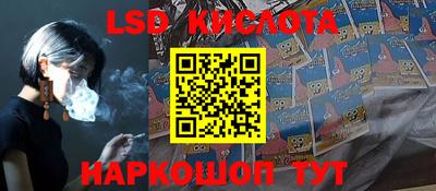 молекула духа Кингисепп