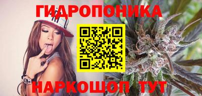 молекула духа Кингисепп