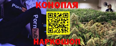 ALPHA PVP Кимры